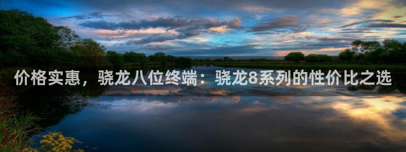 万向娱乐3代理：价格实惠，骁龙八位终端：骁龙8系列的性价比之选