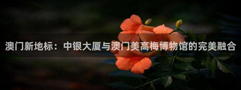 万向娱乐零能源集团：澳门新地标：中银大厦与澳门美高梅博物馆的完美融合
