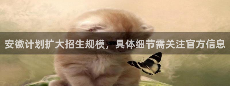 万向娱乐凯捷注册：安徽计划扩大招生规模，具体细节需关注官方信息