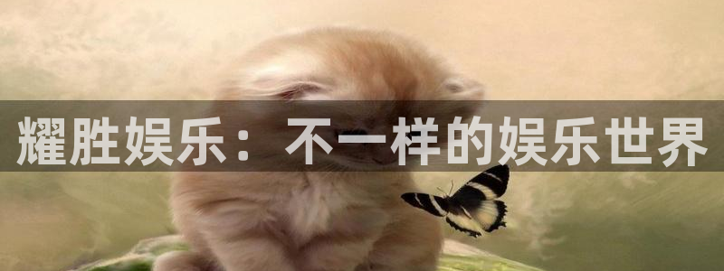 万向娱乐体育和杏耀是哪个公司的：耀胜娱乐：不一样的娱乐世界