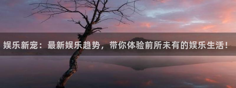 万向娱乐3：娱乐新宠：最新娱乐趋势，带你体验前所未有的娱乐生活！