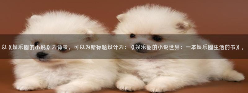 万向娱乐体育4：以《娱乐圈的小说》为背景，可以为新标题设计为：《娱乐圈的小说世界