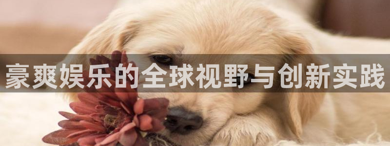 万向娱乐集团股票：豪爽娱乐的全球视野与创新实践