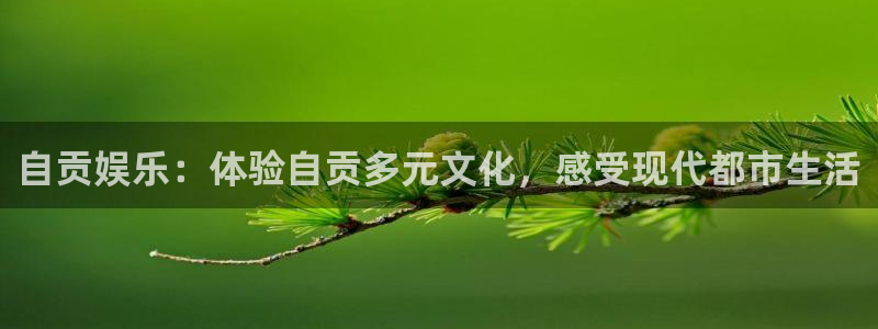 www.万向娱乐体育.com：自贡娱乐：体验自贡多元文化，感受现代都市生活