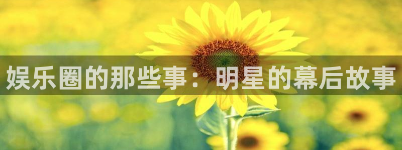 万向娱乐招商：娱乐圈的那些事：明星的幕后故事