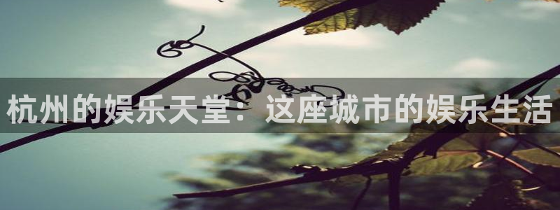 www.万向娱乐体育.com：杭州的娱乐天堂：这座城市的娱乐生活