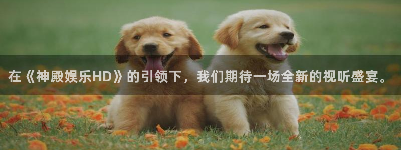 万向娱乐平台注册入口：在《神殿娱乐HD》的引领下，我们期待一场全新的视听盛宴。