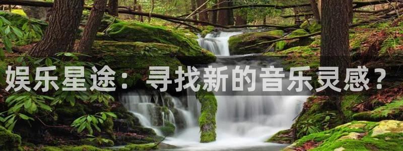 万向娱乐体育f开号：娱乐星途：寻找新的音乐灵感？