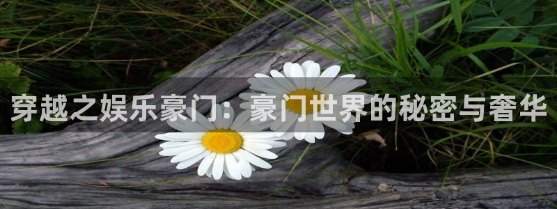 万向娱乐凯捷开号链接：穿越之娱乐豪门：豪门世界的秘密与奢华