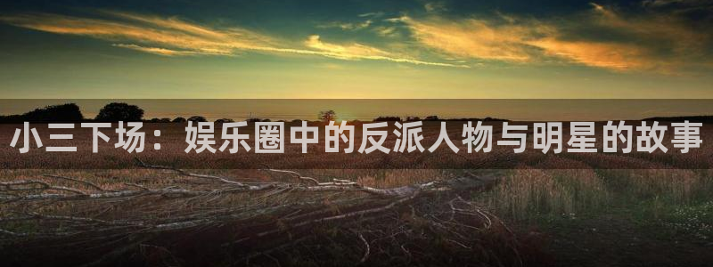万向娱乐集团总部：小三下场：娱乐圈中的反派人物与明星的故事