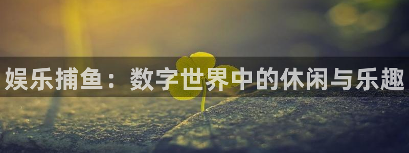 万向娱乐体育1招商：娱乐捕鱼：数字世界中的休闲与乐趣