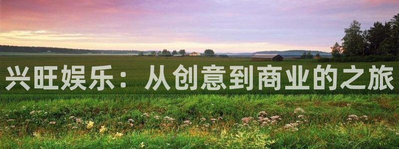 成都万向娱乐电子有限公司：兴旺娱乐：从创意到商业的之旅