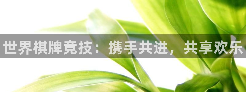 万向娱乐主管：世界棋牌竞技：携手共进，共享欢乐