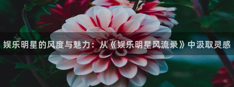 万向娱乐体育平台登录入口：娱乐明星的风度与魅力：从《娱乐明星风流录》中汲取灵感