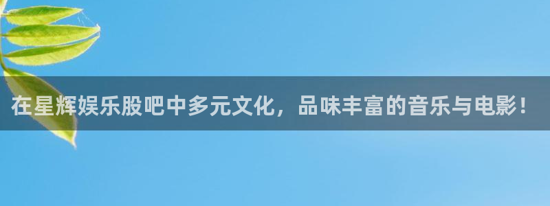 万向娱乐体育和杏耀是哪个公司的：在星辉娱乐股吧中多元文化，品味丰富的音乐与电影！