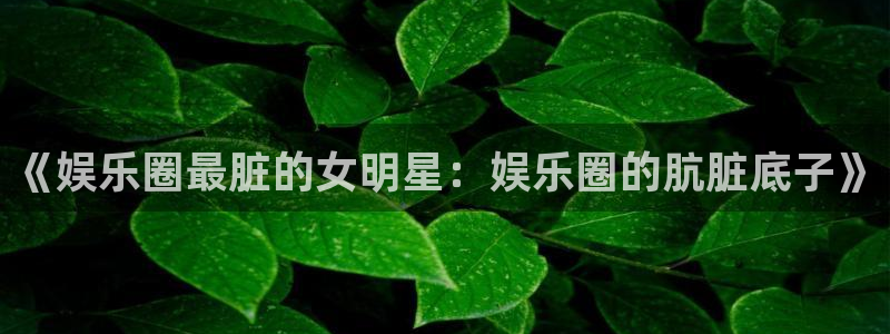 万向娱乐登陆：《娱乐圈最脏的女明星：娱乐圈的肮脏底子》