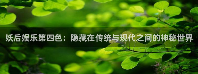 万向娱乐登录界面入口：妖后娱乐第四色：隐藏在传统与现代之间的神秘世界