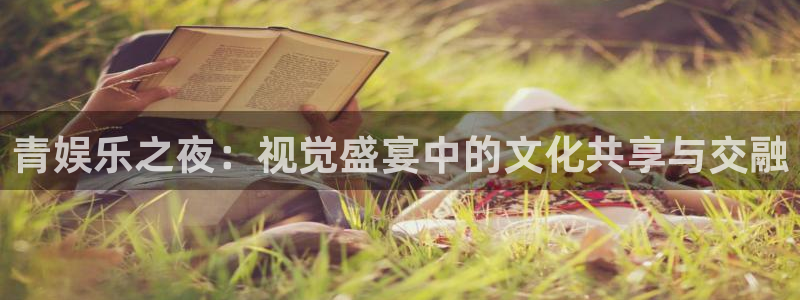 万向娱乐体育注册平台：青娱乐之夜：视觉盛宴中的文化共享与交融