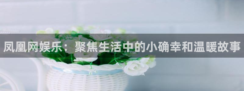 万向娱乐3登陆：凤凰网娱乐：聚焦生活中的小确幸和温暖故事