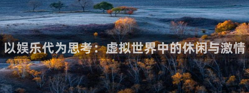 万向娱乐体育：以娱乐代为思考：虚拟世界中的休闲与激情