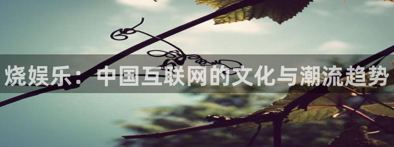 万向娱乐体育平台总代理：烧娱乐：中国互联网的文化与潮流趋势