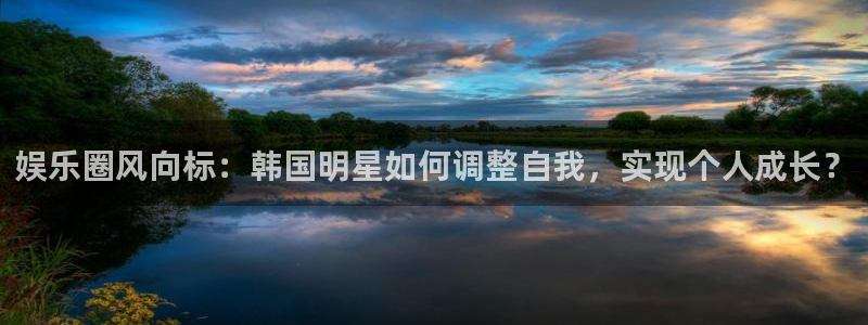 德国万向娱乐集团：娱乐圈风向标：韩国明星如何调整自我，实现个人成长？