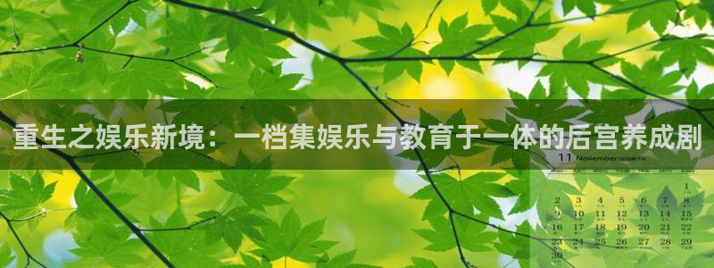万向娱乐登录界面入口：重生之娱乐新境：一档集娱乐与教育于一体的后宫养成剧