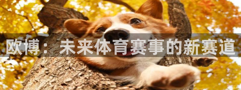 万向娱乐f凯捷注册：欧博：未来体育赛事的新赛道