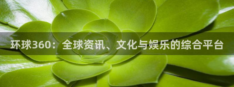 万向娱乐游戏有哪些好玩的：环球360：全球资讯、文化与娱乐的综合平台